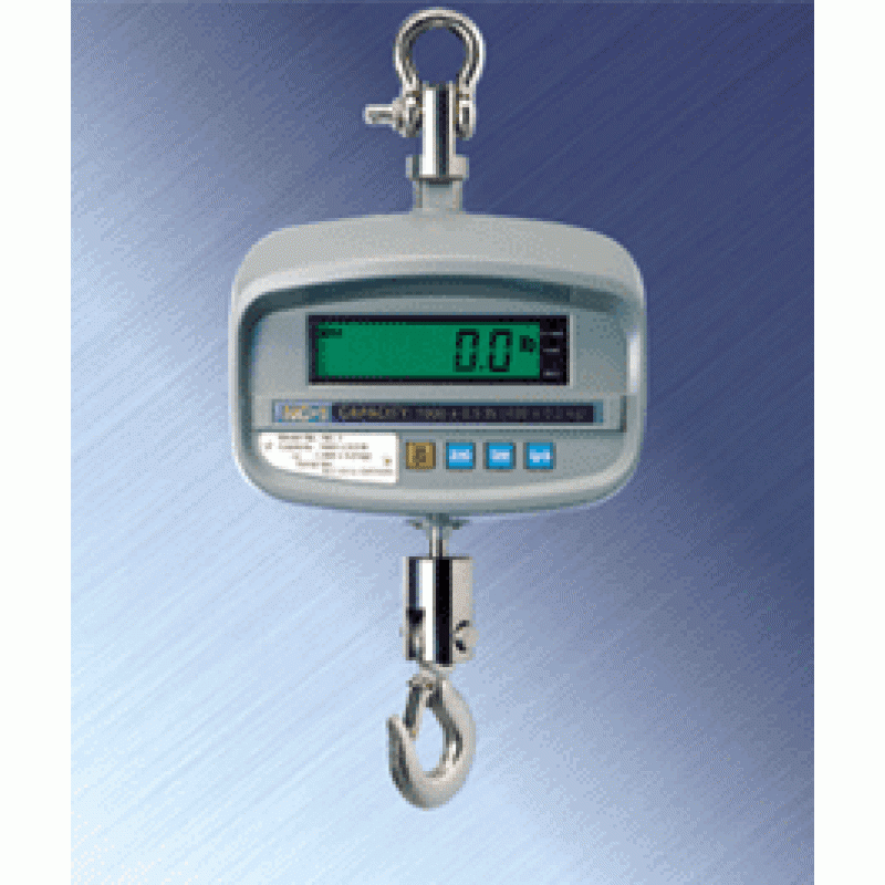 CAS Scale NC 1 Crane Scale NTEP USA Measurements