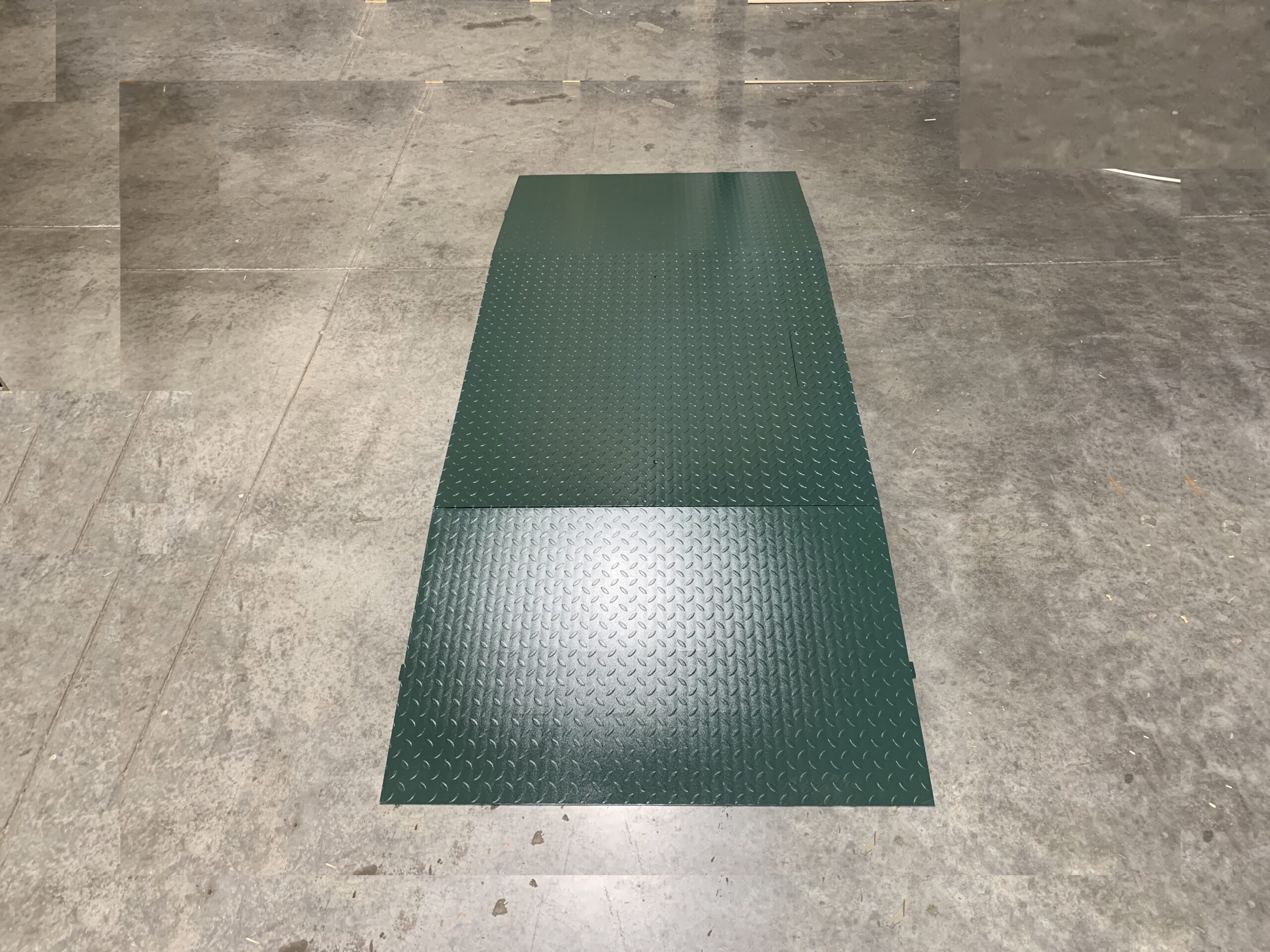 Floor Scales & Ramp (Non-NTEP)